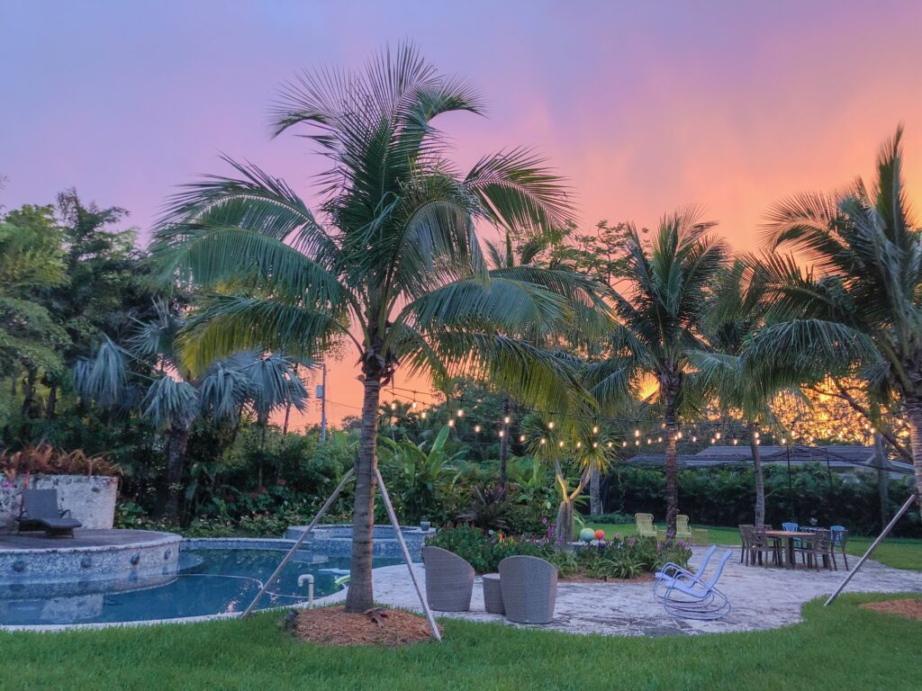 Luxury backyard with pool and palm trees managed by an estate manager in Boca Raton